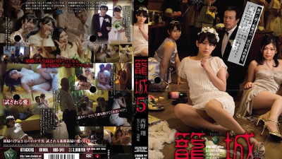 RBD-541 유출된 검열 없음 케이지 5 니시노 쇼 히카리 히노 유이 아사노 야동온라인